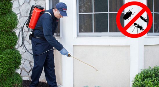 Reyhanlı Karınca İlaçlama böcek ilaçlama ve haşere kontrolü — ilaclama-tr.com